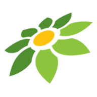 LINK SLOT4D